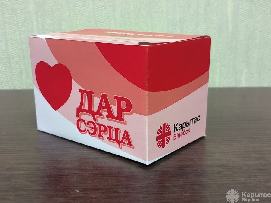 Віцебскі Карытас падарыў каляску з электрарухавіком падлетку з ДЦП